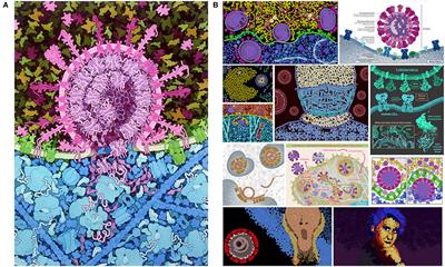 CellPAINT: Turnkey Illustration of Molecular Cell Biology